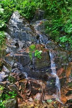 Water spring in the stone Stock-Fotos