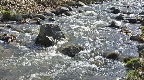 Water spring stream Stock Footage 49093961