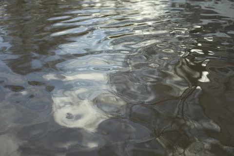 Water in spring. Texture of surface of water. Puddle is in details. Stock Photos