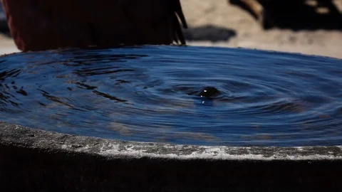 Water spring, water coming up at a source Stock Footage 95793833