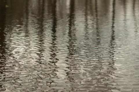 Water in spring. Waves on surface. Spring puddle. Details of nature. Stock Photos