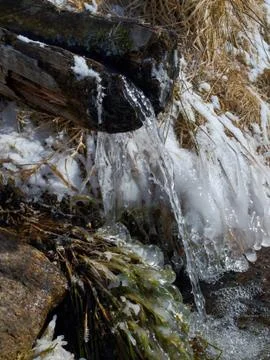 Water spring in winter Stock Photos