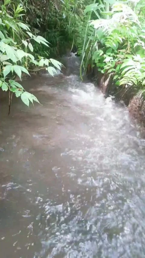 Water springs 스톡 동영상 273970234