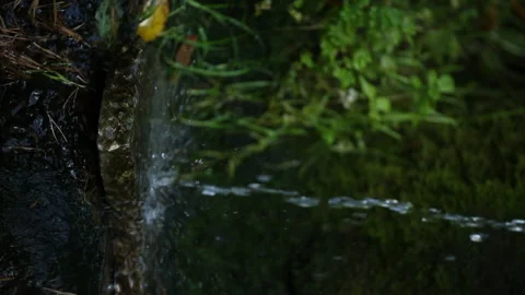 Water spring,vertical video Stock Footage 161840596