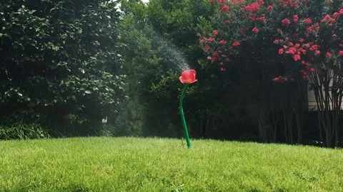 Water Sprinkler (dancing) Stock Footage 119442865