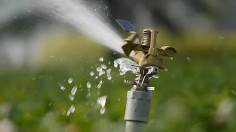 Water sprinkler Stock Footage 11800213