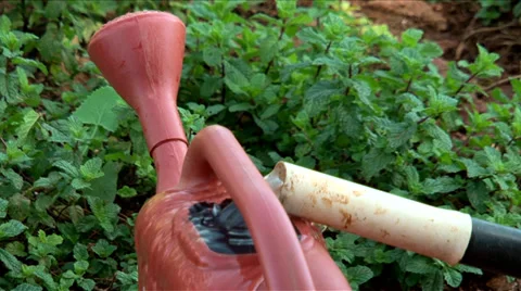 Water sprinkler Stock Footage 36086830