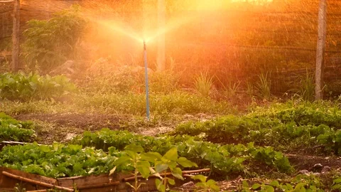 Water sprinkler Stock Footage 103359489