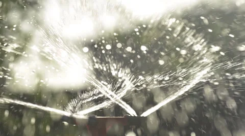 Water sprinkler irrigating under the summer sun Stock Footage 34280703