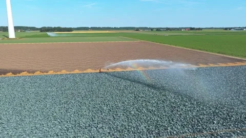 Water sprinkler irrigating a vast red cabbage field in the netherlands Stock Footage 341875331