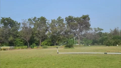 Water sprinkler in a park 스톡 동영상 234314531