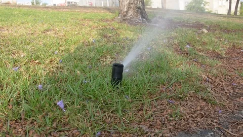 Water sprinkler in public park. Automatic irrigating system watering green grass Video stock 109404348