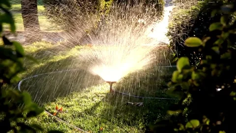 Water sprinkler in public park Automatic irrigating system watering green grass Vídeos de archivo 334656621