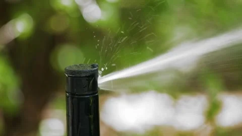 Water sprinkler in public park Automatic irrigating system watering green grass Video stock 334656647