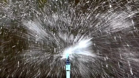 Water sprinkler in public park Automatic irrigating system watering green grass Stock-Footage 334656813