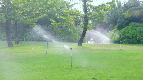 Water sprinkler in public park Automatic irrigating system watering green grass Vídeos de archivo 334656936