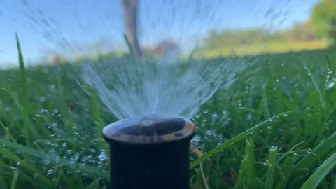 Water Sprinkler Spraying Front View Grass Stock Footage 136189614