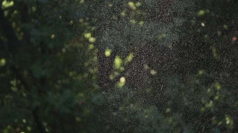 Water sprinkles, blurred background with trees and lights (ungraded) Stock Footage 119681444