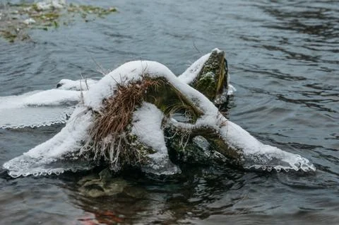 Water sprite Stock Photos