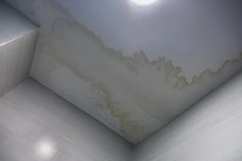 Water stain on the ceiling Stock Photos