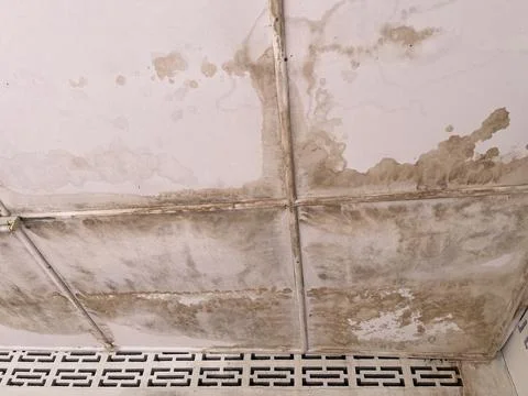 Water Stained Moldy Ceiling Panels With Ventilation Tiles Fotos Stock
