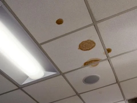 Water stains on ceiling Stock Photos