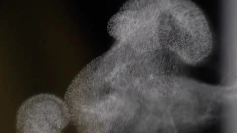 Water steam background rising in super slow motion Stock Footage 128548982
