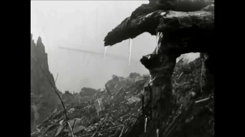 Water is still able to make its way to the Mississippi River, even through Vidéo 99409536