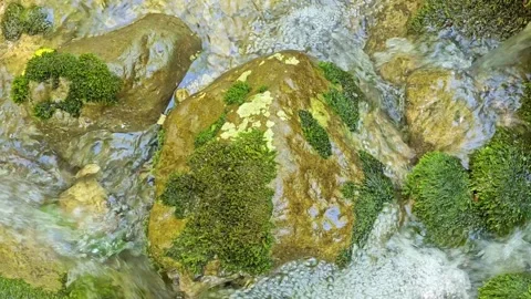 Water, stone and moss Stock Footage 274032606