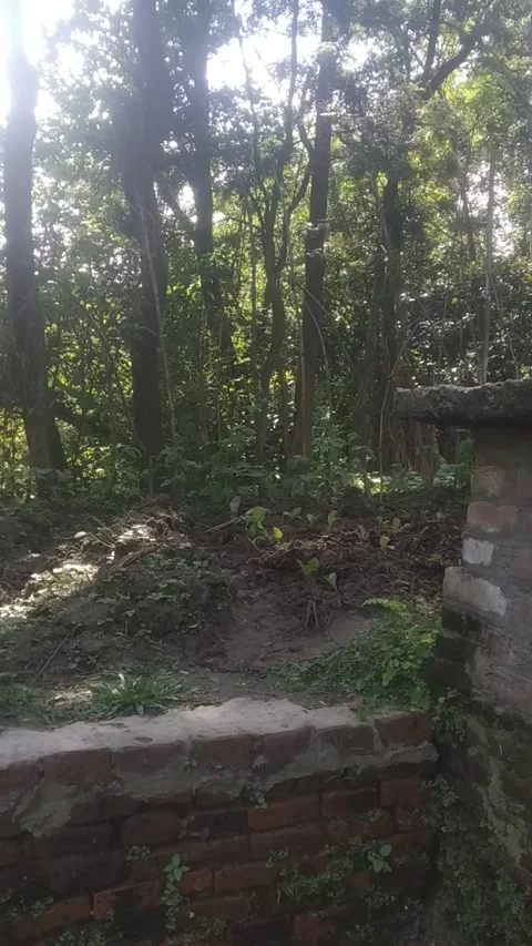 Water storage 動画素材 139686340