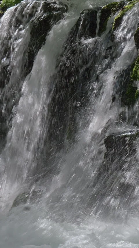 Water Streaks Falling Over Mossy Rock Vertical Video Vidéo 346073559