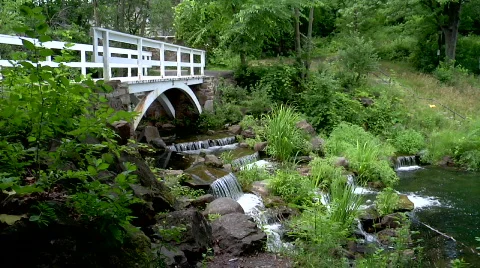 Water Stream 2 動画素材 768866