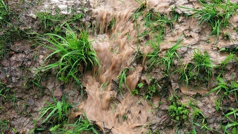 Water stream after rain Stock Footage 90375188