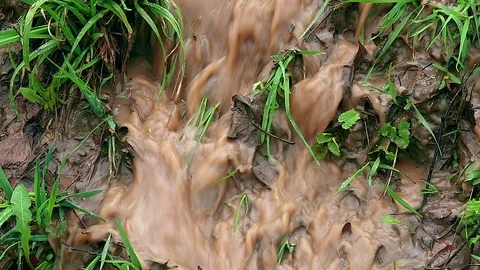 Water stream after rain Stock Footage 90375933