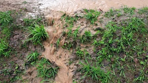 Water stream after rain Stock Footage 90379720