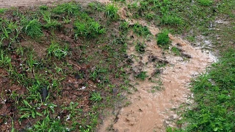 Water stream after rain Stock Footage 90388551