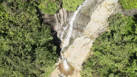 Water stream among forest Video stock 238670727