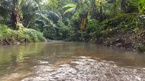 Water stream And focus in the distance. Stock Footage 139854968
