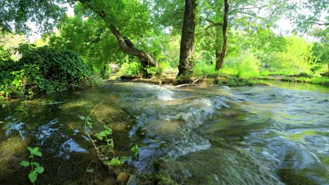 Water stream and green trees in Krka National Park, Croatia - 4K, Ultra-wide Stock Footage 240134635