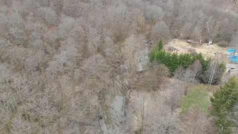 Water Stream and Leafless Deciduous Forest during Winter, Aerial Reveal Stock Footage 228966833