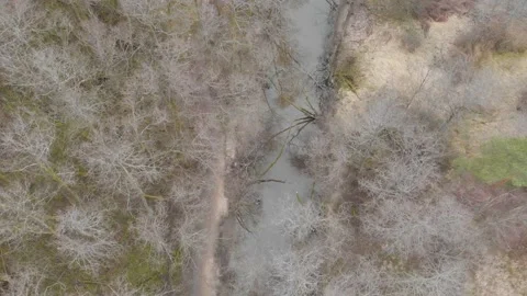 Water Stream and Leafless Deciduous Forest during Winter, Aerial Fast Top View Vídeos de archivo 229145283