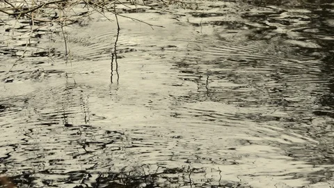Water stream and ripples on the surface Stock Footage 119040764