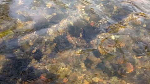 Water stream and rocks bottom Vidéo 46272789