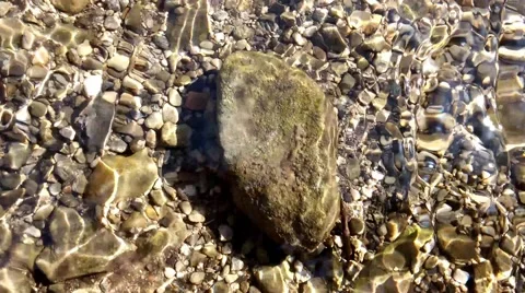 The water stream and rocks bottom Stock Footage 48389447