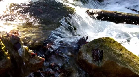 The water stream and rocks bottom Stock Footage 49067472