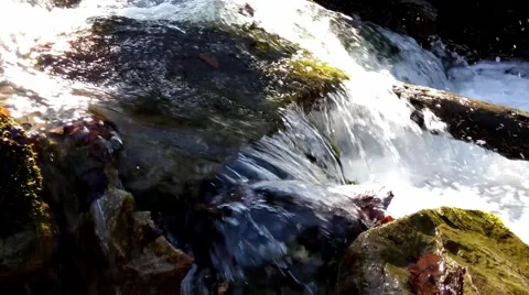 The water stream and rocks bottom 库存影片 49067593