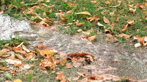 Water stream in autumn Stock Footage 146627143