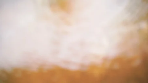  water stream  background Stock Footage 113509823