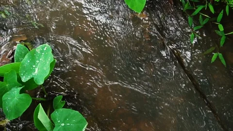  water stream  background Stock Footage 113963269