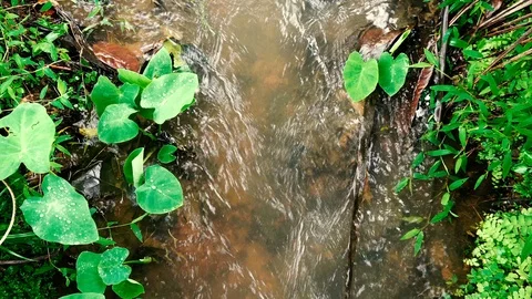  water stream  background Stock Footage 113966667